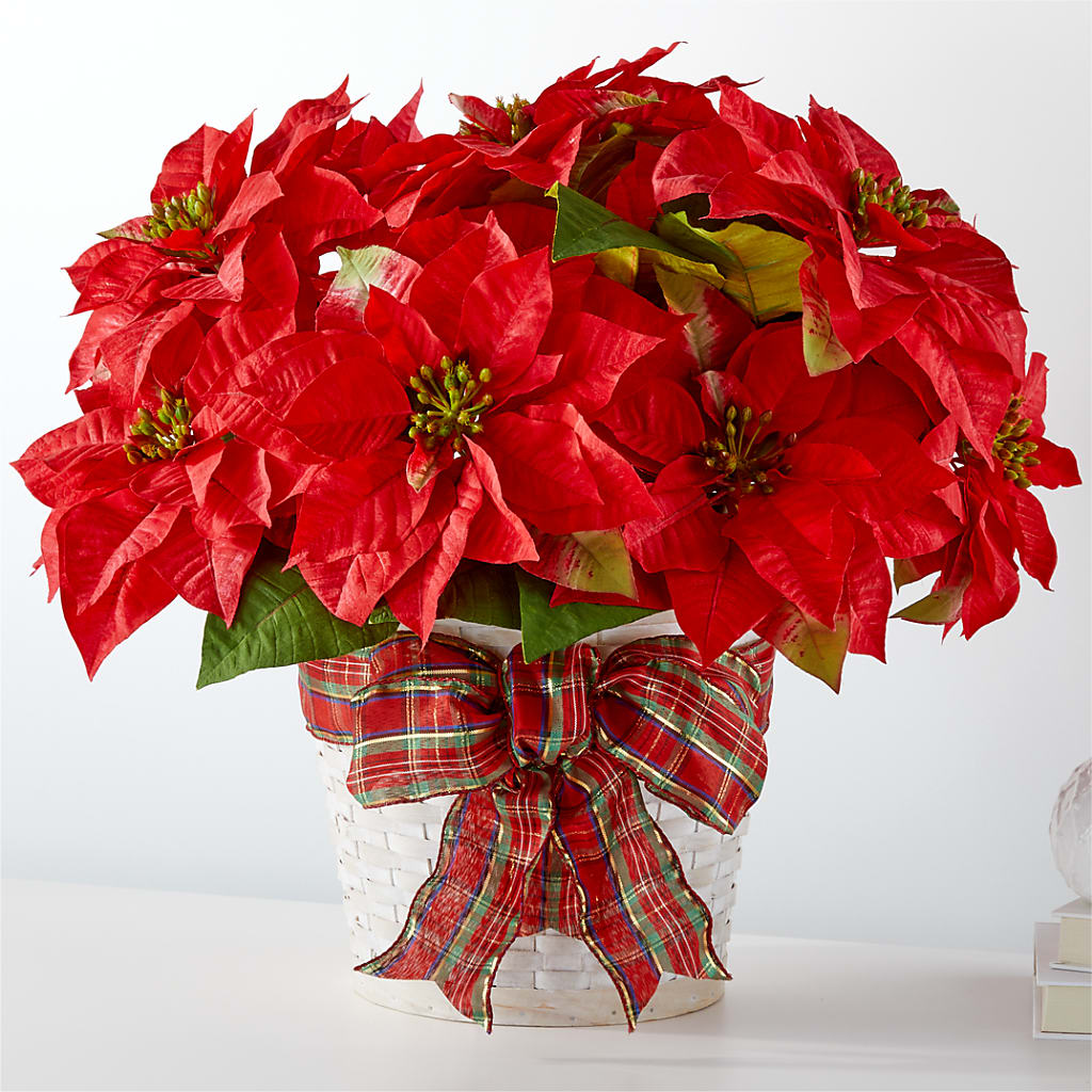 Happiest Holidays Poinsettia – A Flower Matters, Dallas TX
