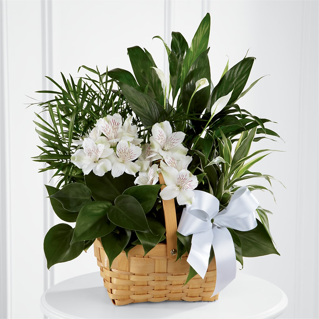 Peace & Serenity Dishgarden – A Flower Matters, Dallas TX