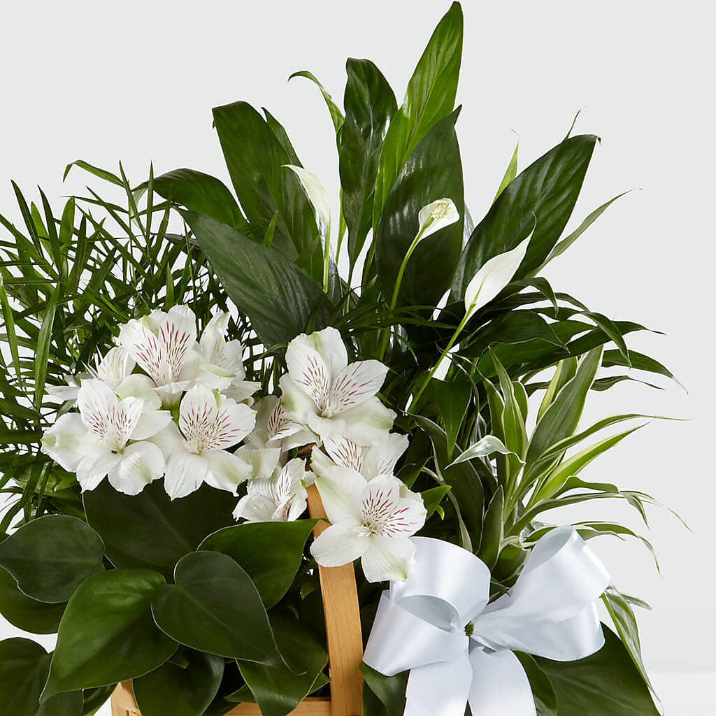 Peace & Serenity Dishgarden – A Flower Matters, Dallas TX