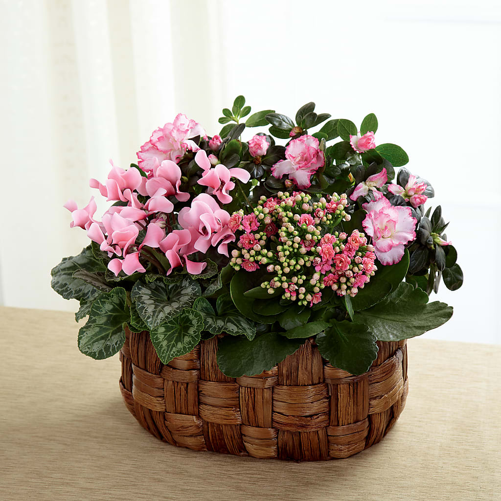 Pink Assortment – A Flower Matters, Dallas TX