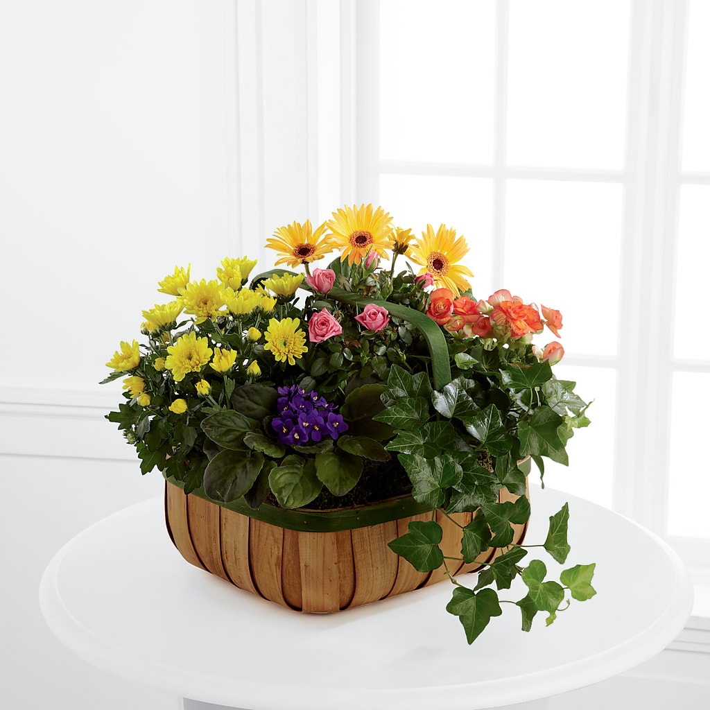 Gentle Blossoms Basket – A Flower Matters, Dallas TX