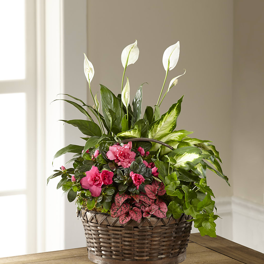 Dream in Pink Dishgarden – A Flower Matters, Dallas TX