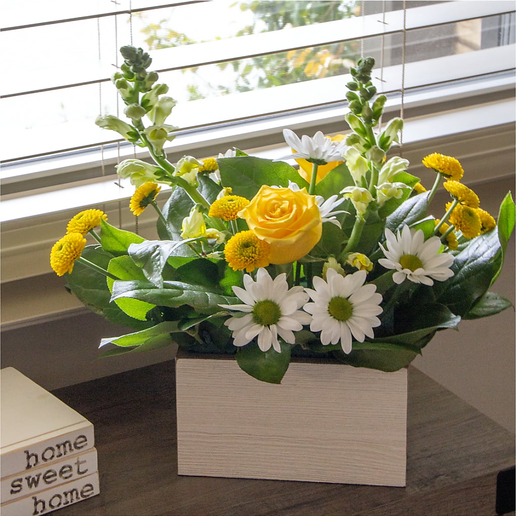 Sun Salutation Box Bouquet – A Flower Matters, Dallas TX