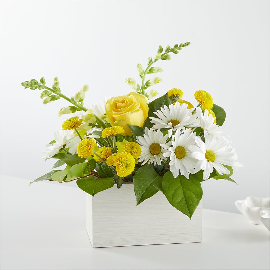 Sun Salutation Box Bouquet – A Flower Matters, Dallas TX