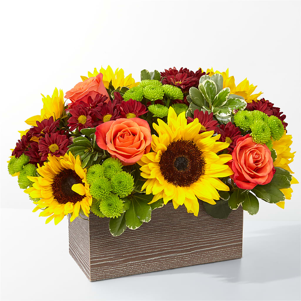 Happy Harvest Garden – A Flower Matters, Dallas TX