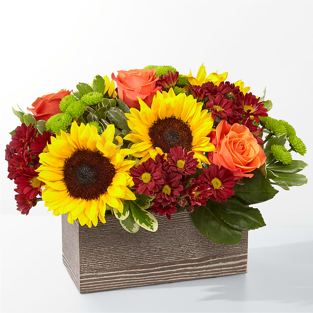 Happy Harvest Garden – A Flower Matters, Dallas TX