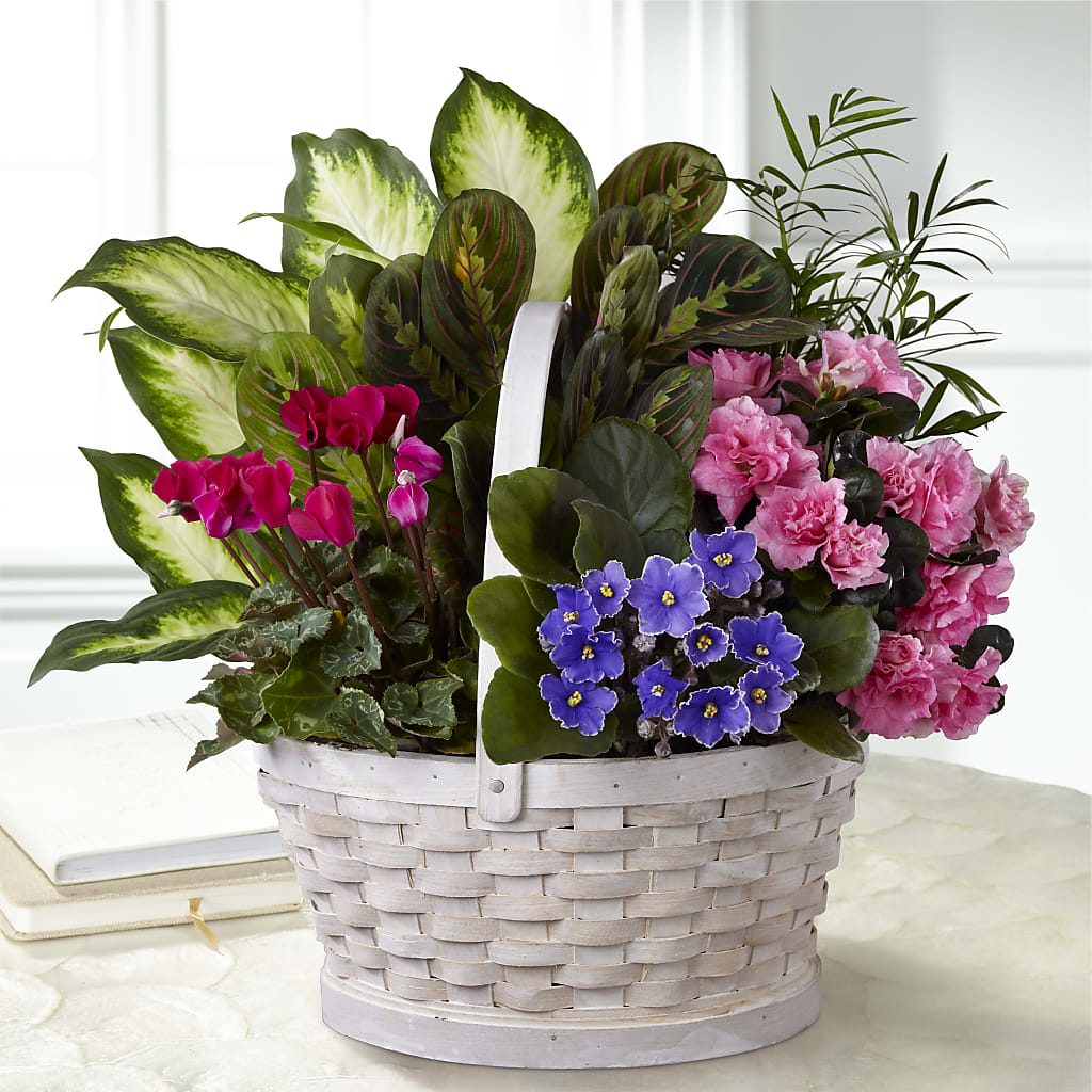 Peaceful Garden Planter – A Flower Matters, Dallas TX