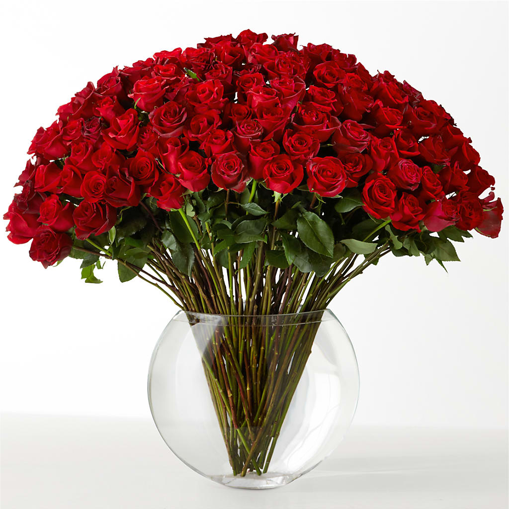 The Idealist – A Flower Matters, Dallas TX