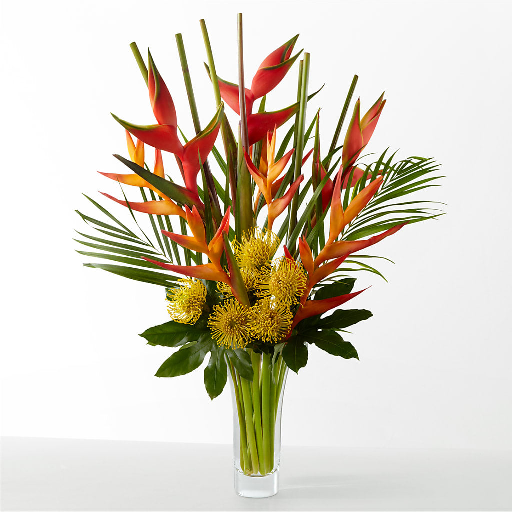 The Drama – A Flower Matters, Dallas TX
