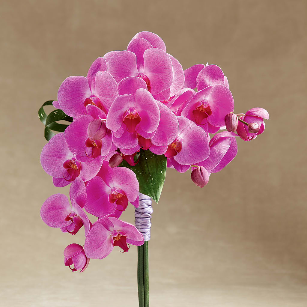 Glorious Bouquet – A Flower Matters, Dallas TX