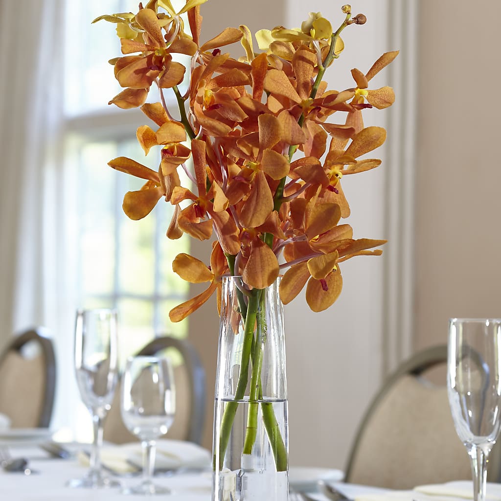 Orange Mokara Bud Vase – A Flower Matters, Dallas TX