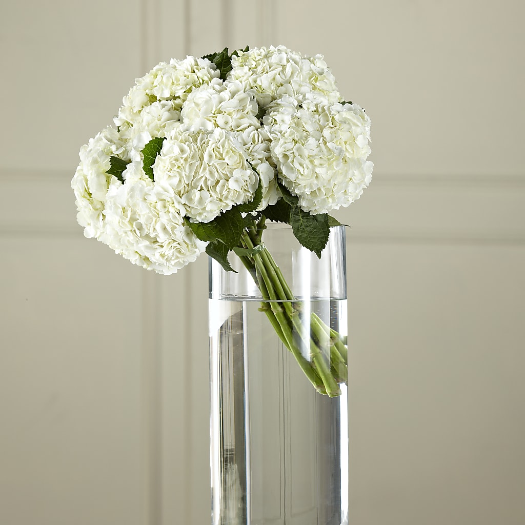 White Hydrangea Hand-Tied Bouquet – A Flower Matters, Dallas TX