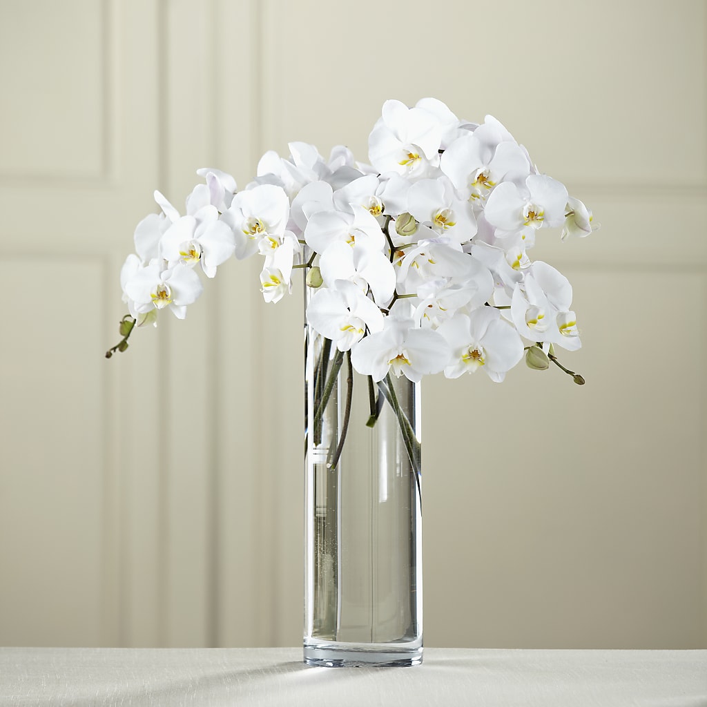 White Phalaenopsis Bouquet – A Flower Matters, Dallas TX