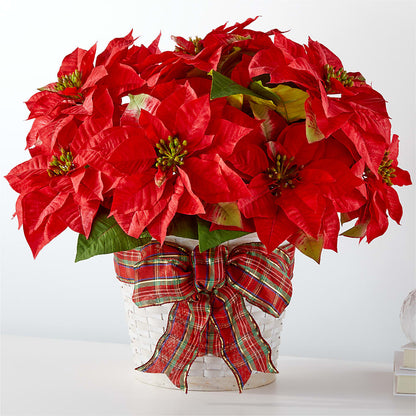 Happiest Holidays Poinsettia –  A Flower Matters, Dallas TX