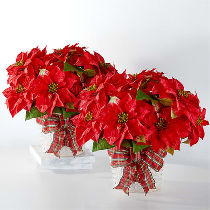 Happiest Holidays Poinsettia Bundle –  A Flower Matters, Dallas TX