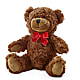 Adorable Plush Bear –  A Flower Matters, Dallas TX