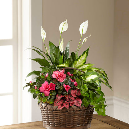 Dream in Pink Dishgarden –  A Flower Matters, Dallas TX