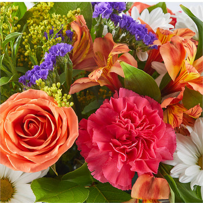 Oopsie Daisy Box Bouquet –  A Flower Matters, Dallas TX