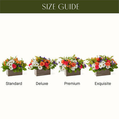 Oopsie Daisy Box Bouquet –  A Flower Matters, Dallas TX