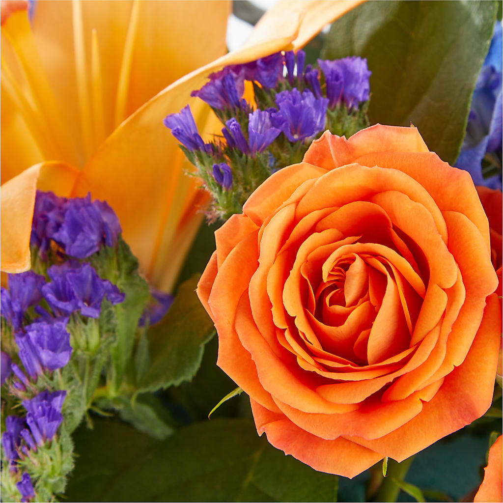 Radiant Citrus Box Bouquet –  A Flower Matters, Dallas TX