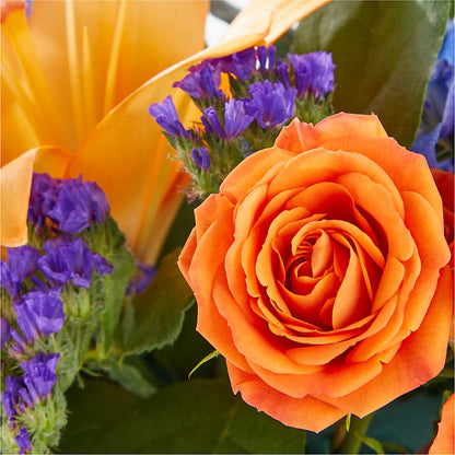 Radiant Citrus Box Bouquet –  A Flower Matters, Dallas TX