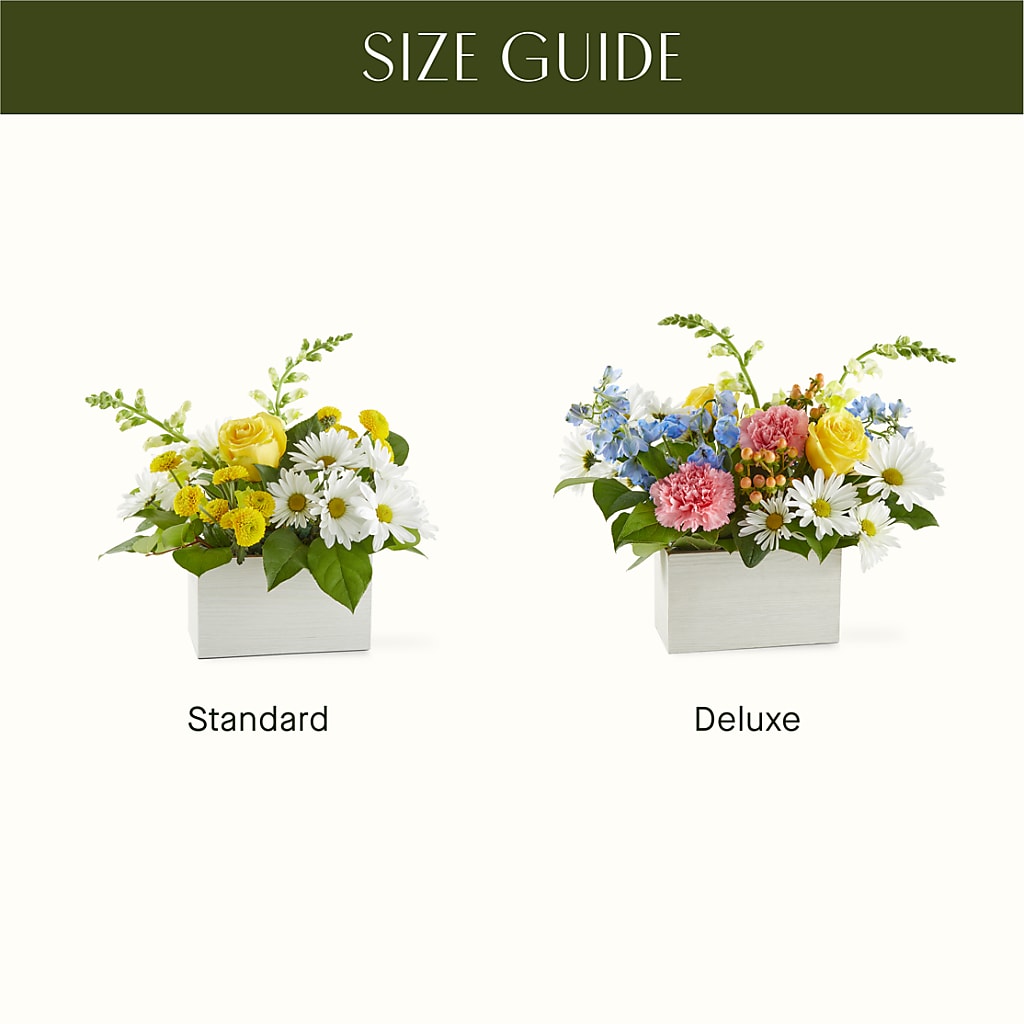 Sun Salutation Box Bouquet –  A Flower Matters, Dallas TX