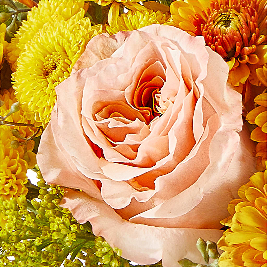 Peachy Pumpkin –  A Flower Matters, Dallas TX