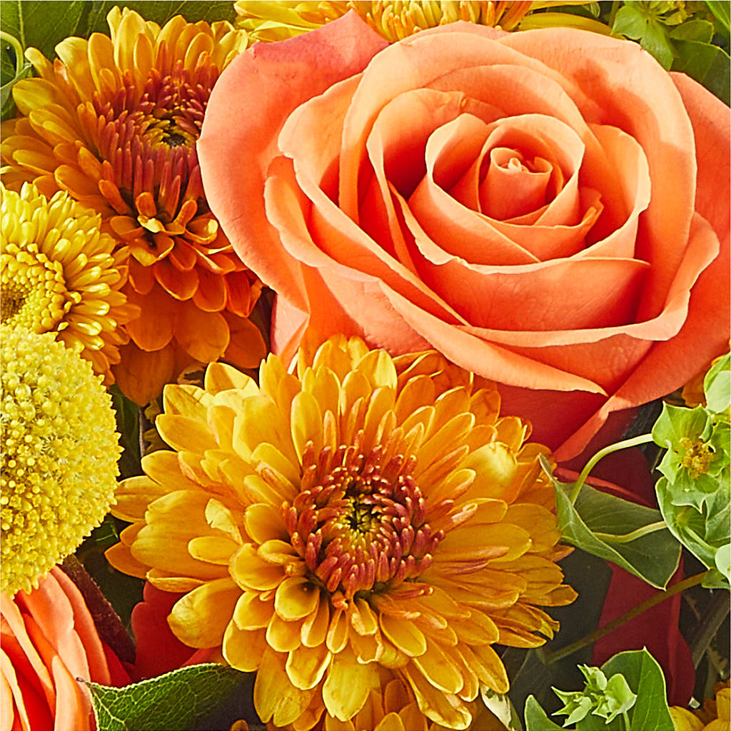 Gourdgeous Pumpkin –  A Flower Matters, Dallas TX