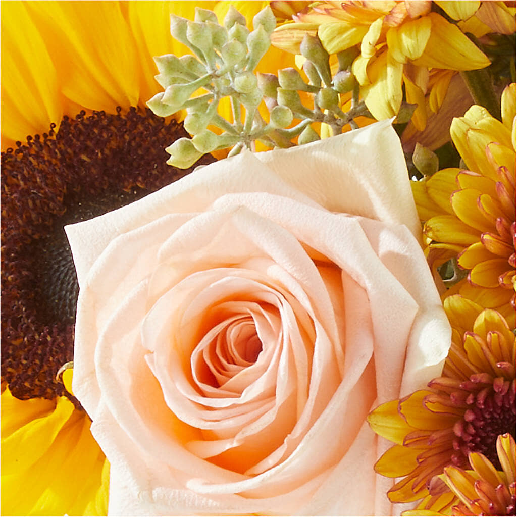 Pumpkin to Talk About Bouquet –  A Flower Matters, Dallas TX