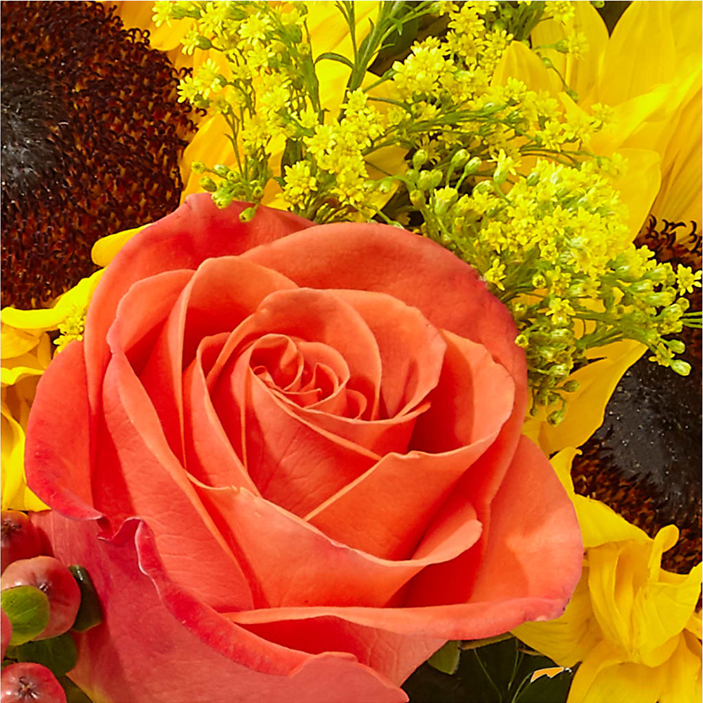 Pick of the Patch Pumpkin Bouquet –  A Flower Matters, Dallas TX