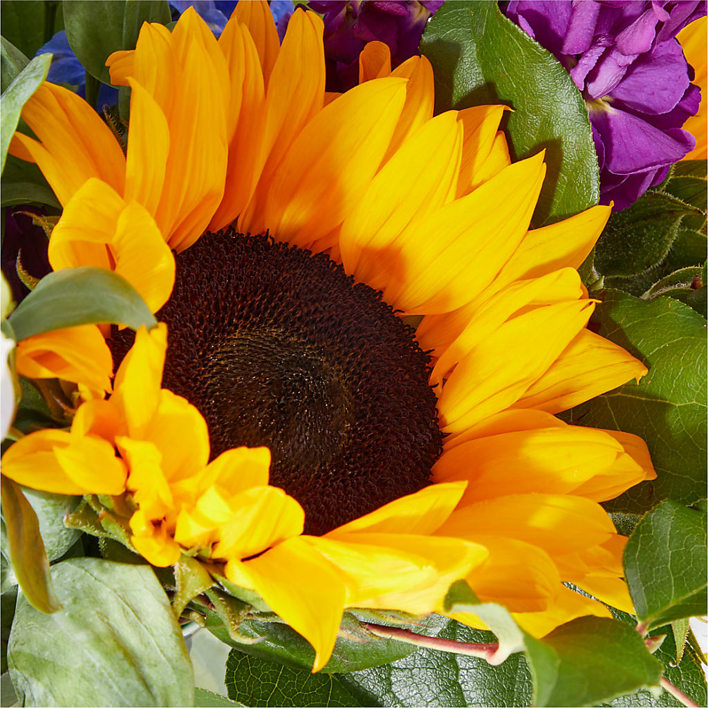 Catching Rays Bouquet –  A Flower Matters, Dallas TX