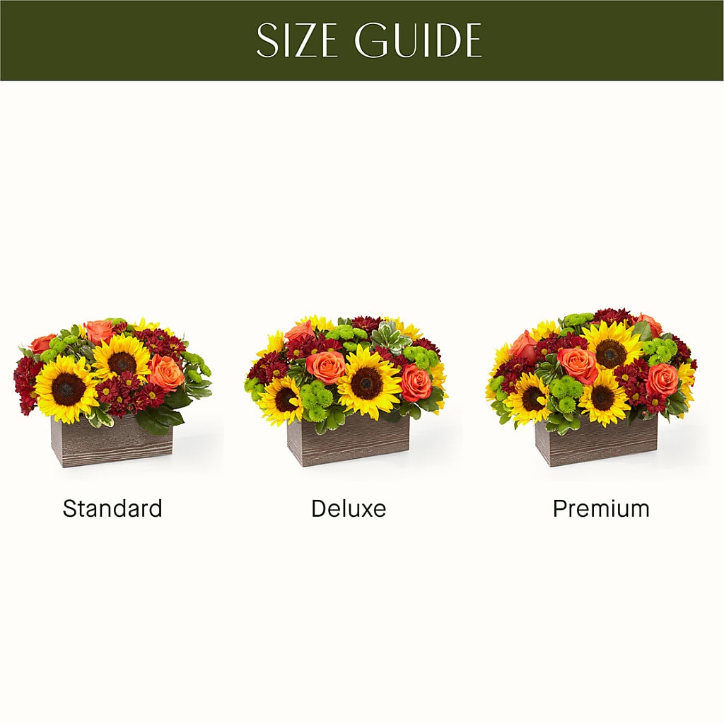 Happy Harvest Garden –  A Flower Matters, Dallas TX