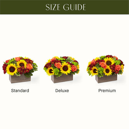 Happy Harvest Garden –  A Flower Matters, Dallas TX