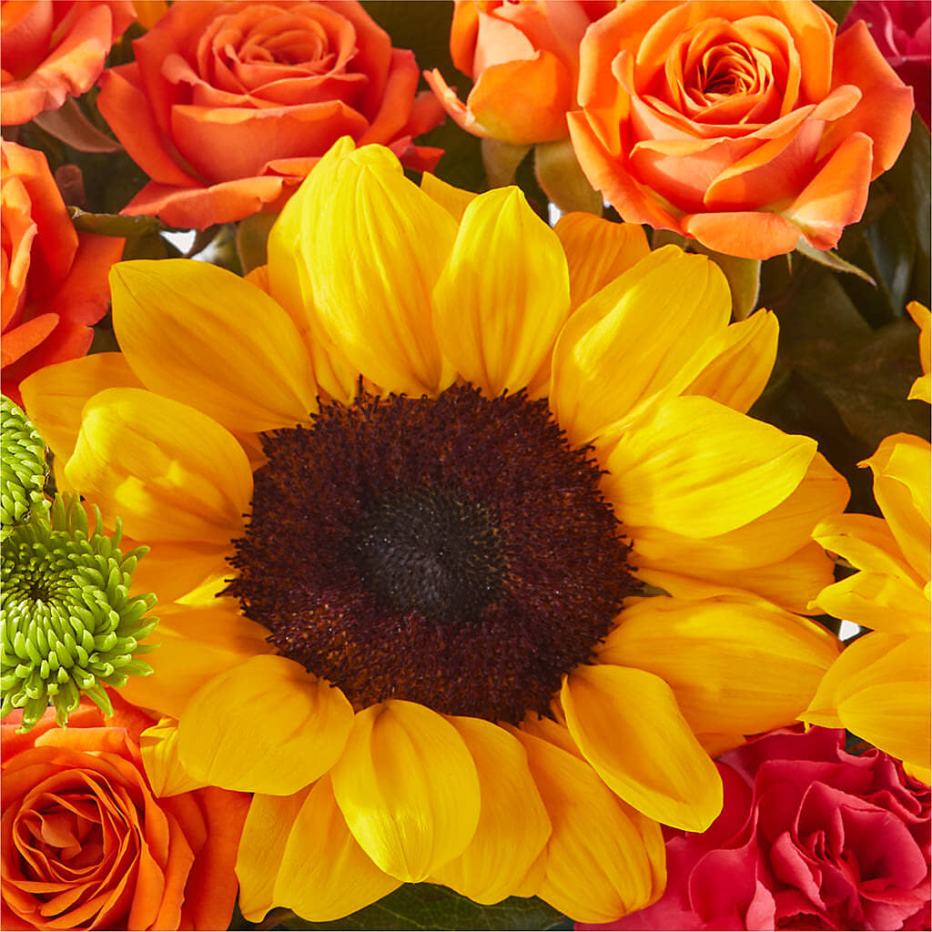 Sun-drenched Blooms Box Bouquet –  A Flower Matters, Dallas TX
