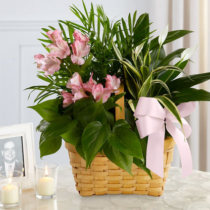 Living Spirit Dishgarden –  A Flower Matters, Dallas TX