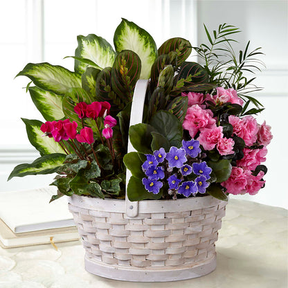 Peaceful Garden Planter –  A Flower Matters, Dallas TX