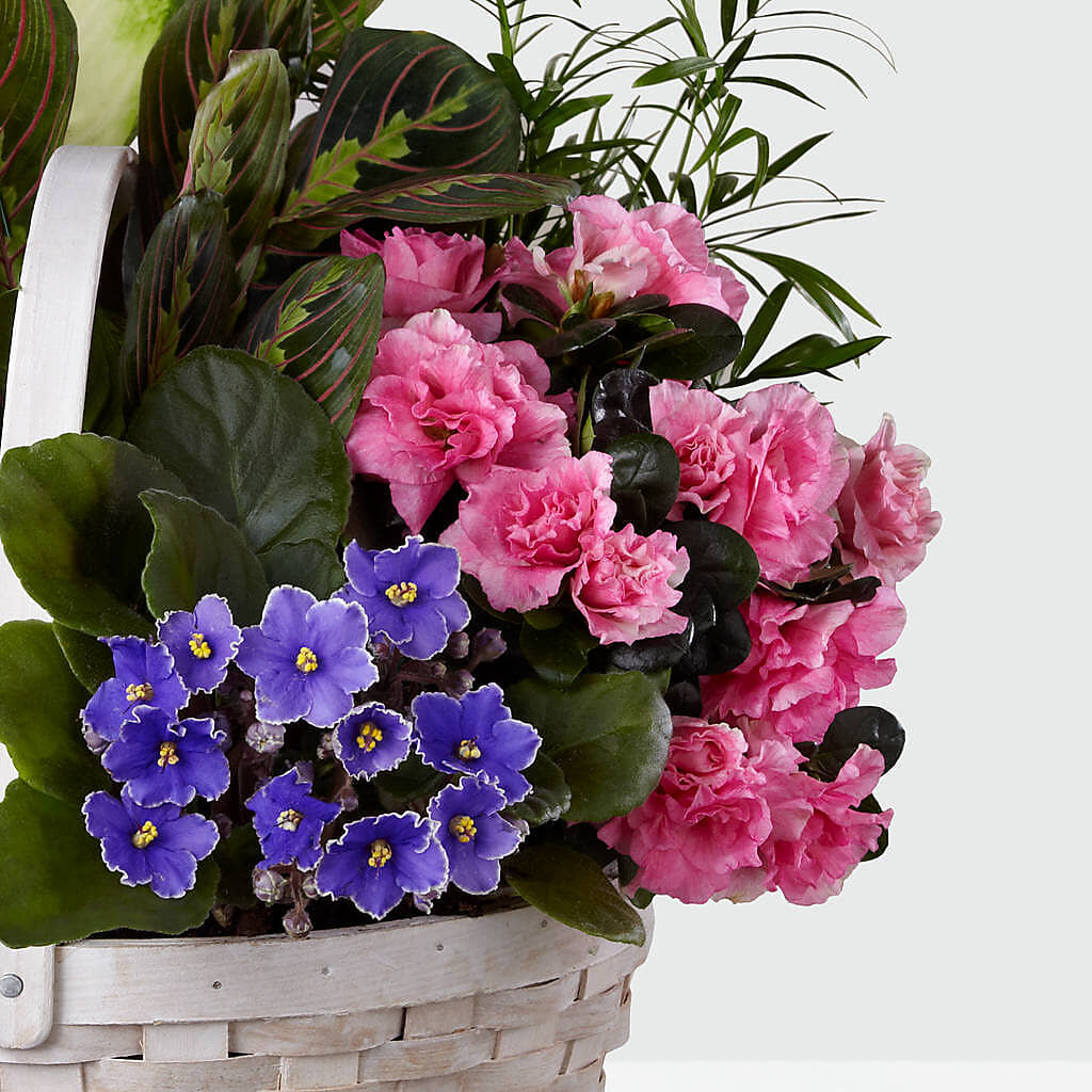 Peaceful Garden Planter –  A Flower Matters, Dallas TX