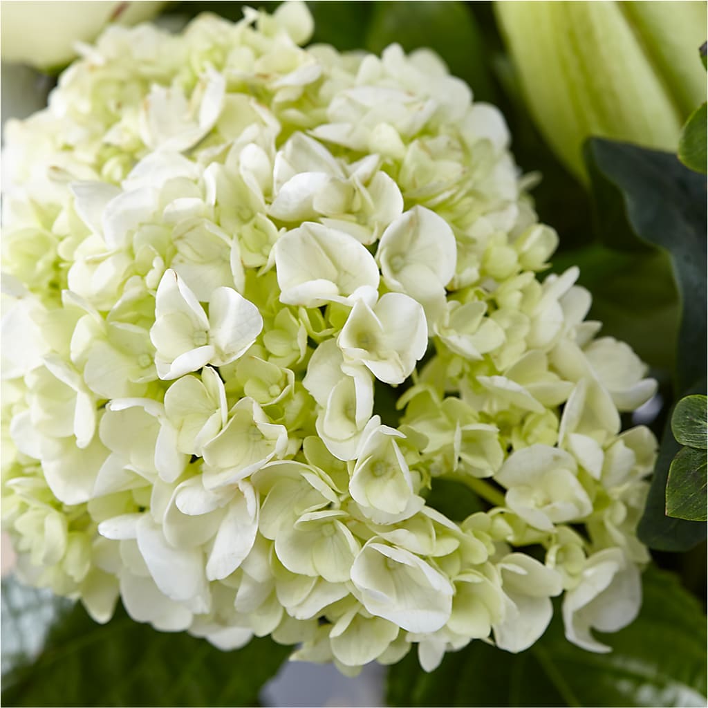 Classic Ivory – A Florist Original –  A Flower Matters, Dallas TX