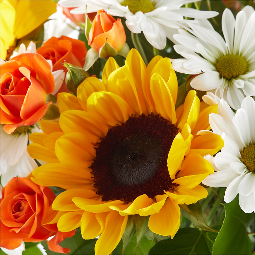 Sun-drenched Blooms Bouquet –  A Flower Matters, Dallas TX