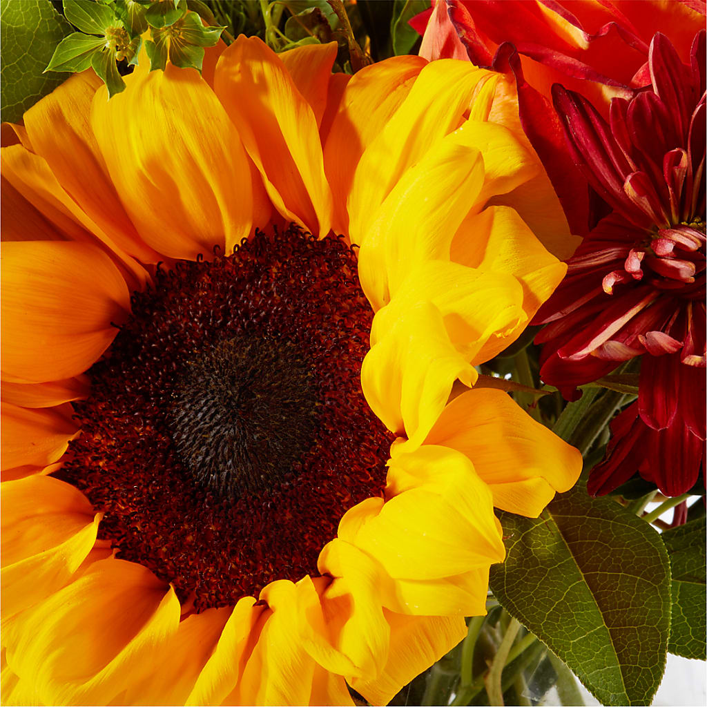 Harvest Festival Bouquet –  A Flower Matters, Dallas TX