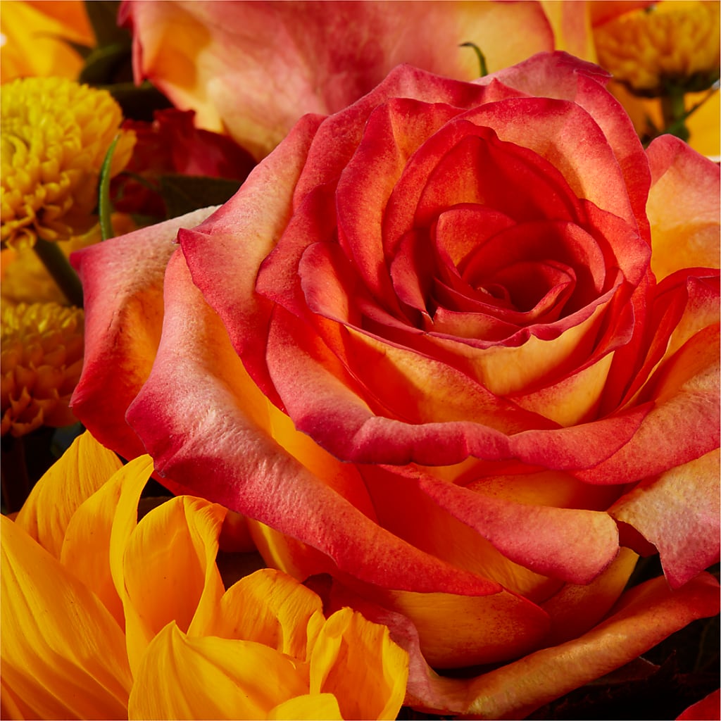 Picnic in the Park Bouquet –  A Flower Matters, Dallas TX