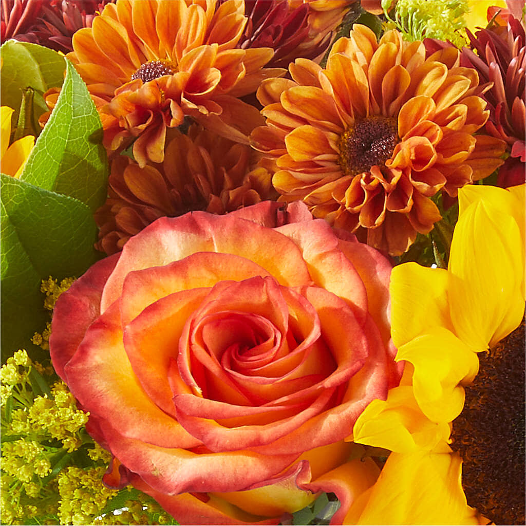 Flannel Scarf Bouquet –  A Flower Matters, Dallas TX