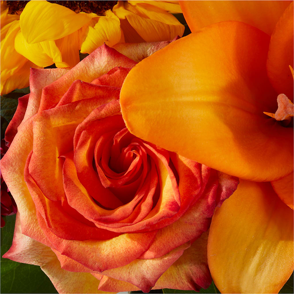 Grateful Centerpiece –  A Flower Matters, Dallas TX