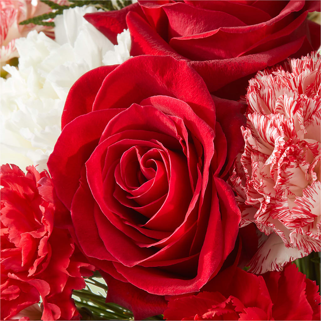 Candy Cane Lane Bouquet –  A Flower Matters, Dallas TX