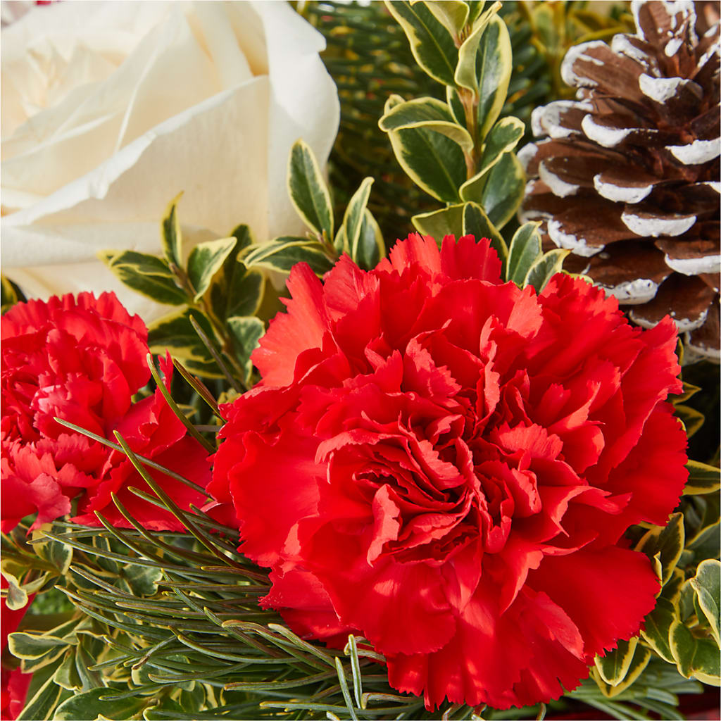 Christmas Market Bouquet –  A Flower Matters, Dallas TX