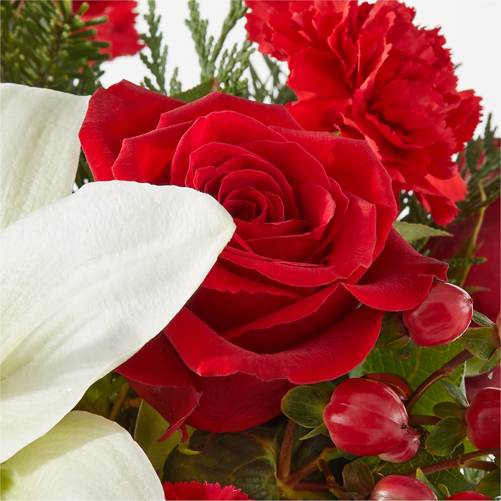 Oh So Jolly Bouquet –  A Flower Matters, Dallas TX