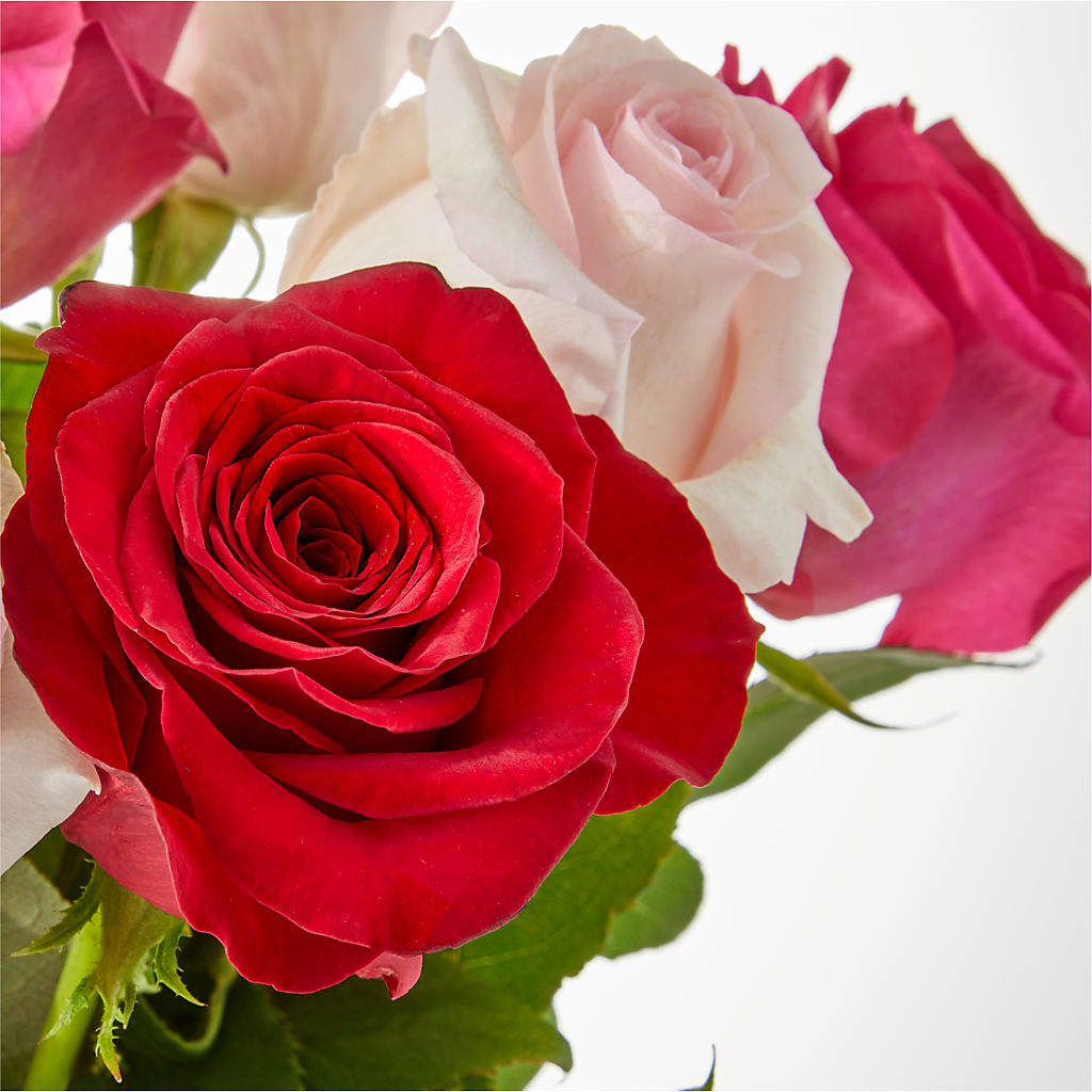 Charming Rose Bouquet –  A Flower Matters, Dallas TX
