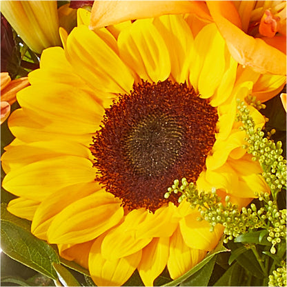 Seasons Change Bouquet –  A Flower Matters, Dallas TX