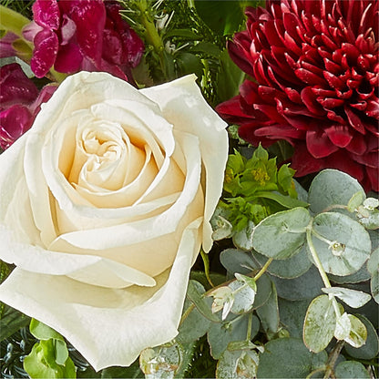 Cranberry Fizz Bouquet –  A Flower Matters, Dallas TX