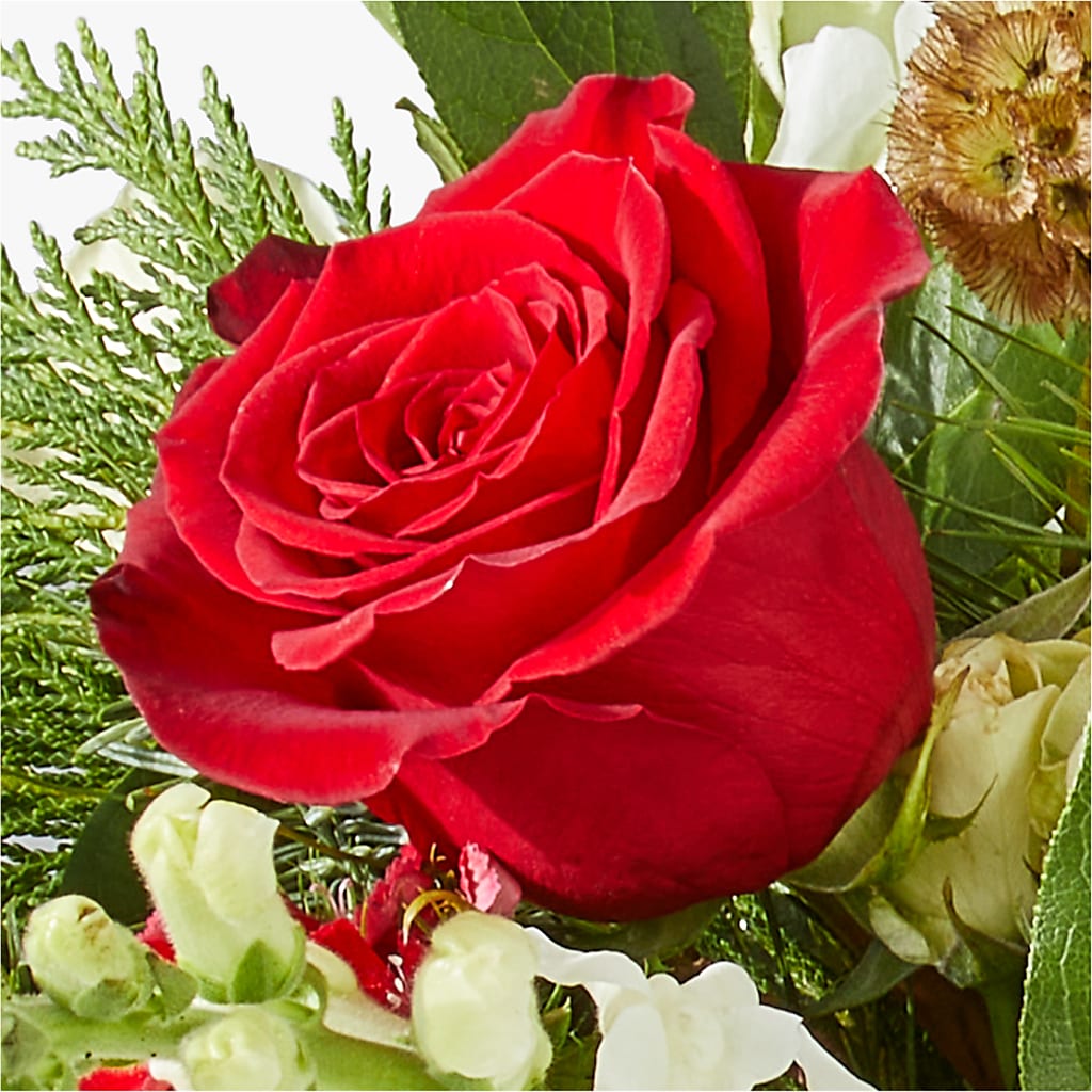 Deck the Halls Bouquet –  A Flower Matters, Dallas TX